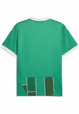 Decathlon SK Rapid Wien thuisshirt 24/25 PUMA Sport Green White aanbieding