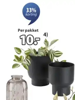 Jysk Skade bloembak aanbieding