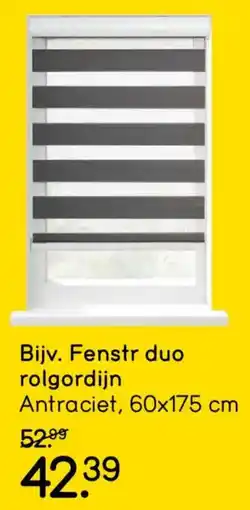 Leen Bakker Fenstr Duo Rolgordijn aanbieding