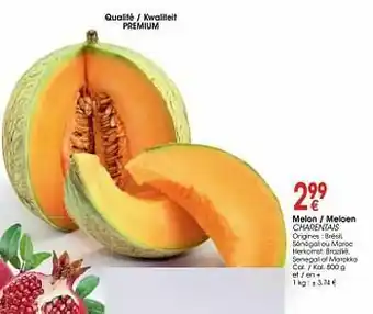 Melon - meloen charentais
