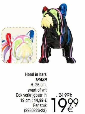 Cora Hond in hars trash aanbieding