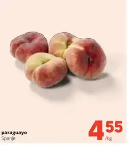 Spar paraguayo Spanje aanbieding