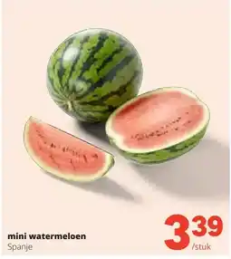Spar mini watermeloen Spanje aanbieding