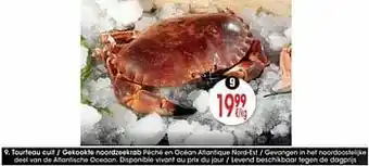 Cora Tourteau cuit - gekookte noordzeekrab aanbieding