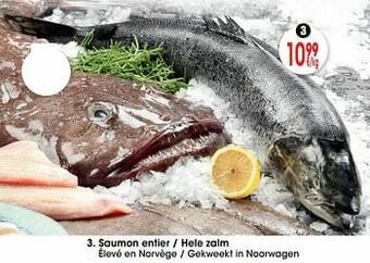 Cora Saumon entier - hele zalm aanbieding