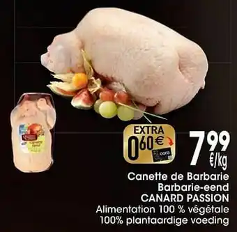 Canette de barbarie barbarie-eend canard passion