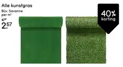 Leen Bakker Alle kunstgras aanbieding