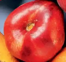 Carrefour Platte nectarines aanbieding