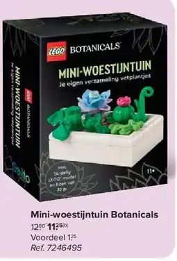 Carrefour Mini-woestijntuin Botanicals aanbieding