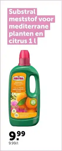 AVEVE Substral meststof voor mediterrane planten en citrus 1 l aanbieding