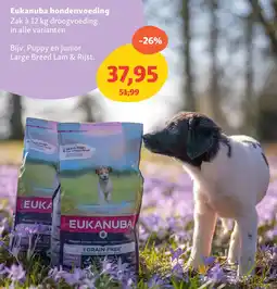 Maxi Zoo Eukanuba hondenvoeding aanbieding