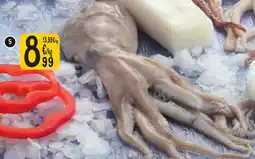 Cora Octopus aanbieding