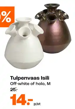 Kwantum Tulpenvaas Isili aanbieding