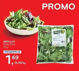 Alvo Mesclun planty fresh aanbieding