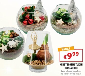Trafic Kerstbloemstuk in Terrarium aanbieding