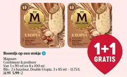 Delhaize Magnum Roomijs op een stokje aanbieding