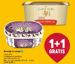 Delhaize Roomijs in schaal aanbieding