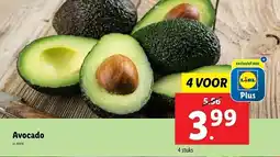 Lidl Avocado aanbieding