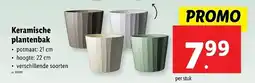 Lidl Keramische Plantenbak aanbieding