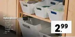 Lidl W5 Opbergboxen aanbieding