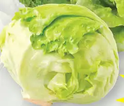 Albert Heijn AH IJsbergsla aanbieding