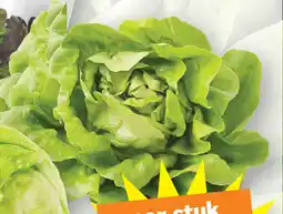 Albert Heijn AH Kropsla aanbieding