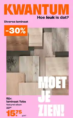 Kwantum Laminaat toba aanbieding