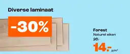 Kwantum Forest aanbieding