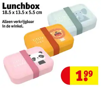 Kruidvat Lunchbox aanbieding