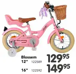 Happyland Blossem 12 aanbieding