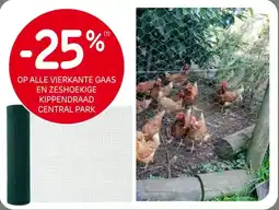 Brico Op alle vierkante gaas en zeshoekige kippendraad central park aanbieding