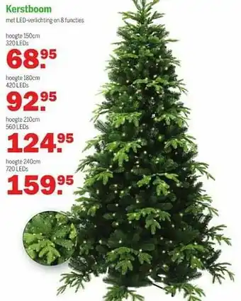Van Cranenbroek Kerstboom aanbieding