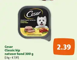 Maxi Zoo Cesar Classic kip natvoer hond 300 g aanbieding