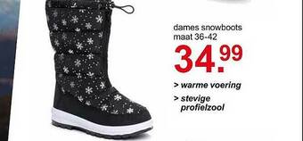 Dames Snowboots