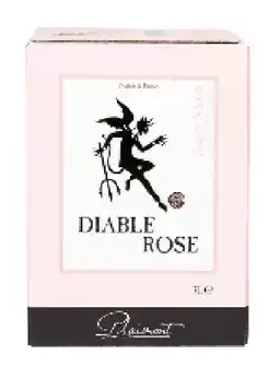 Colruyt Diable Rose 2024 A.O.P. Saint-Mont 3 L aanbieding