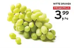 Alvo Witte druiven aanbieding