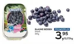 Alvo Blauwe bessen aanbieding