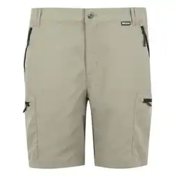 Decathlon REGATTA Regatta Shorts LeesvilleShrtIII HEREN Golden Sand aanbieding