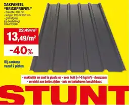Hubo Dakpaneel Bricoprofiel aanbieding