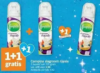 Campina slagroom royale
