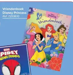 Carrefour Vriendenboek Disney Princess aanbieding