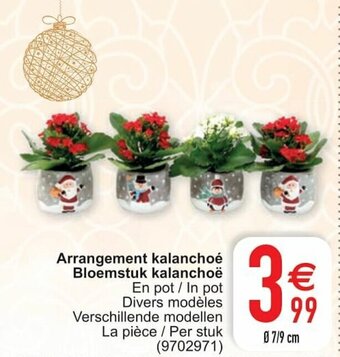 Cora Arrangement kalanchoe Bloemstuk kalanchoe aanbieding
