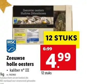 Lidl Zeeuwse holle oesters 12 stuks aanbieding
