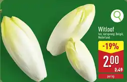 ALDI Witloof aanbieding