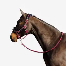 Decathlon Set halster + halstertouw voor paarden en pony's Comfort bordeaux/zwartblauw aanbieding