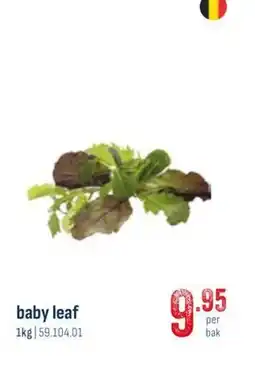 Horeca totaal Baby leaf aanbieding