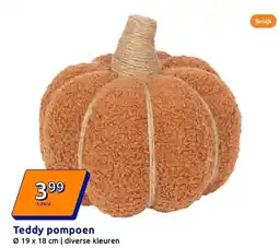 Action Teddy pompoen aanbieding