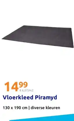 Action Vloerkleed Piramyd aanbieding