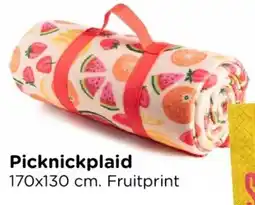 Xenos Picknickplaid aanbieding