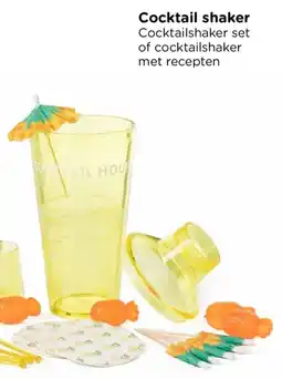 Xenos Cocktail shaker aanbieding